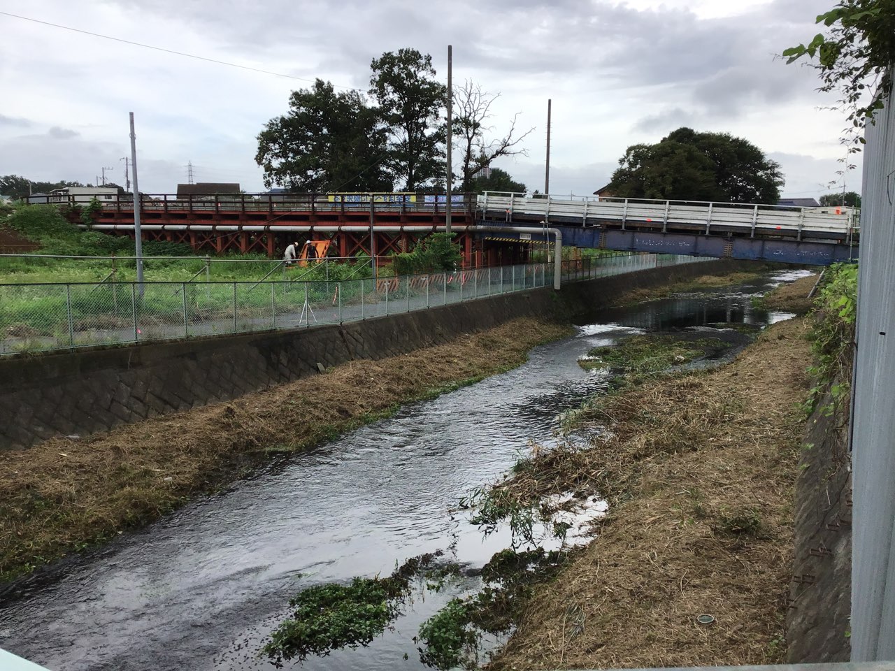 7月落合川下流側