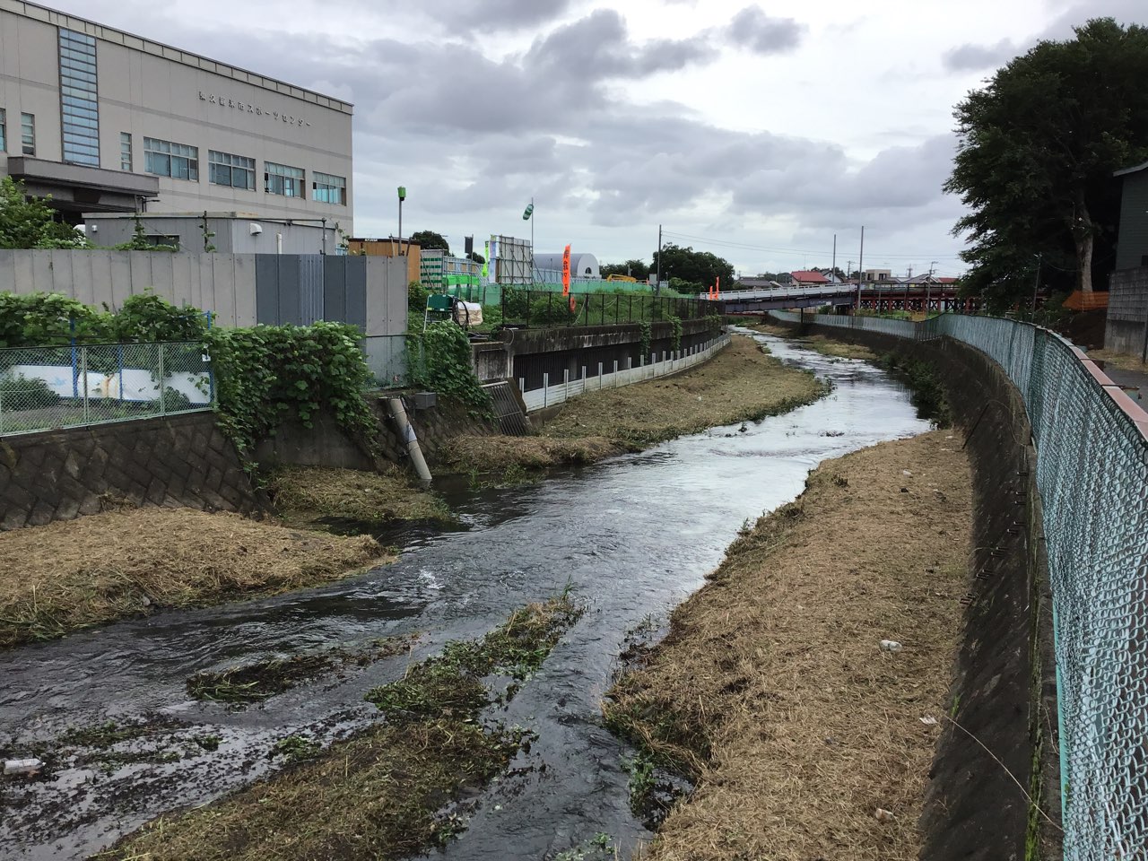 7月落合川上流側