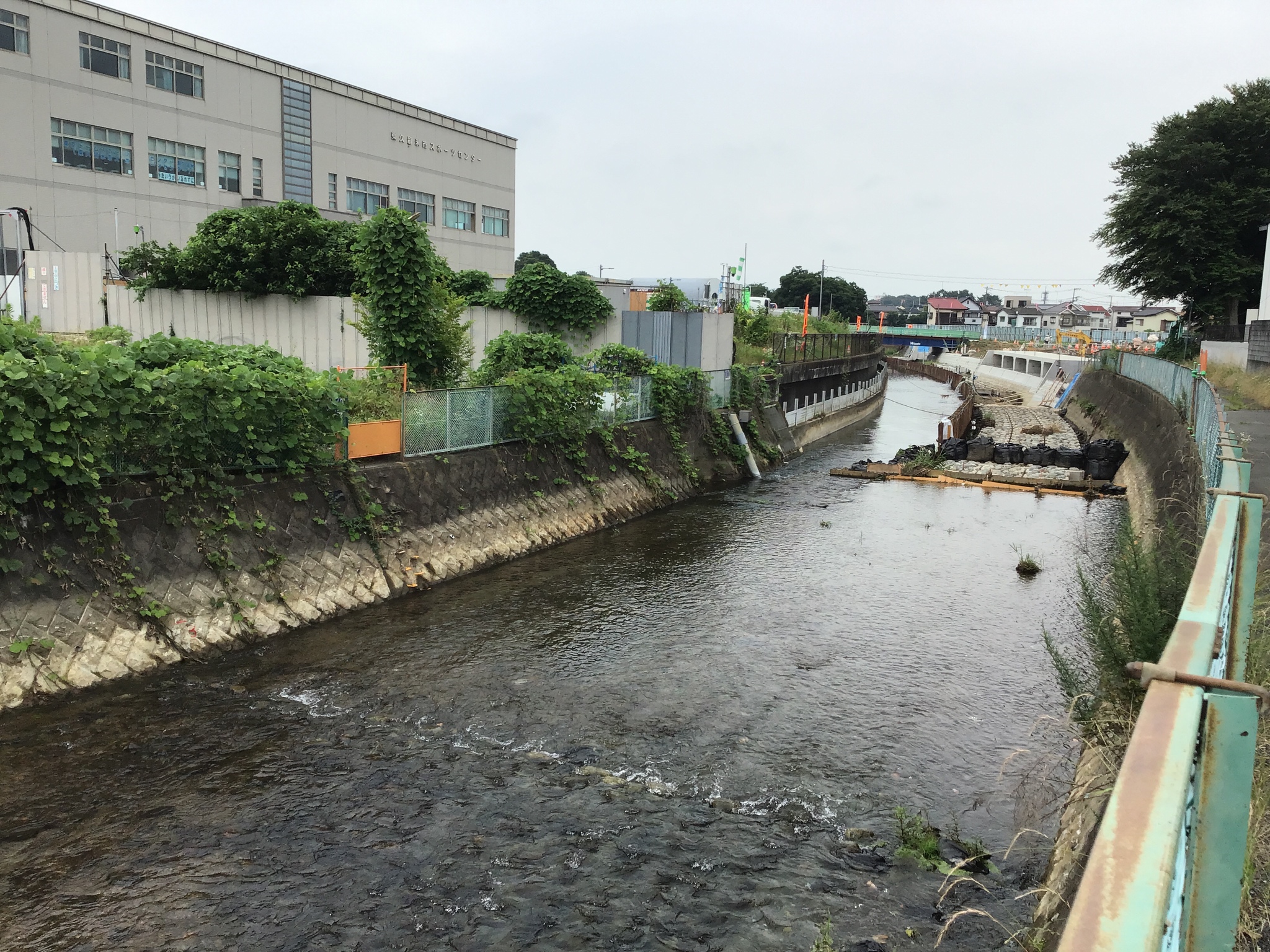 6月落合川上流側から望む